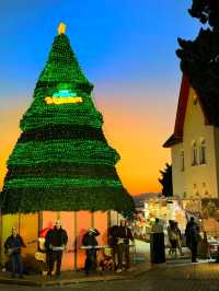 🎄청도의 크리스마스 마을, 드디어