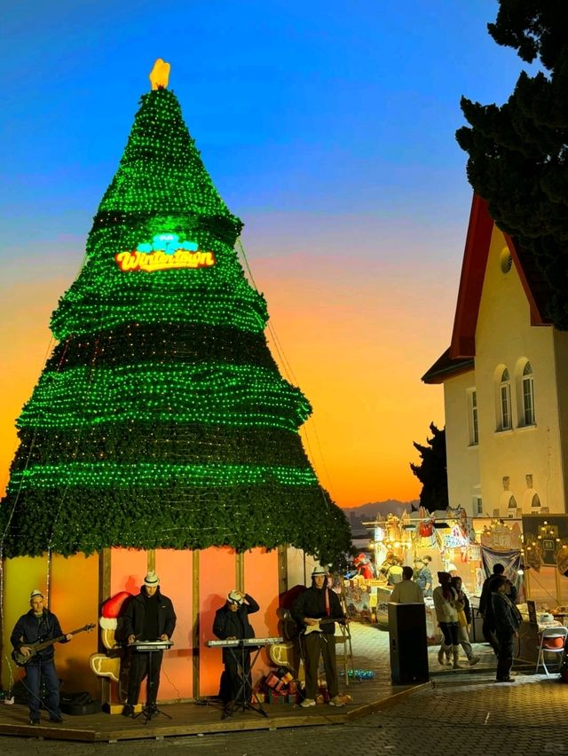 🎄청도의 크리스마스 마을, 드디어 🎄청도의 크리스마스 마을, 드디어