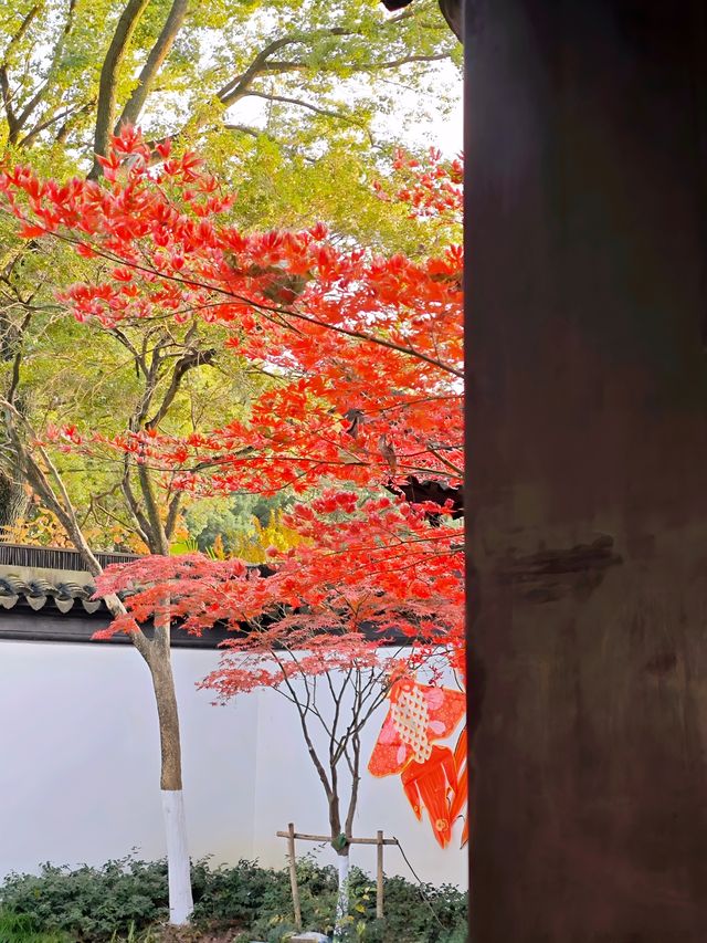 坐著11號線去看秋(上海周邊遊) 坐著11號線去看秋(上海周邊遊)