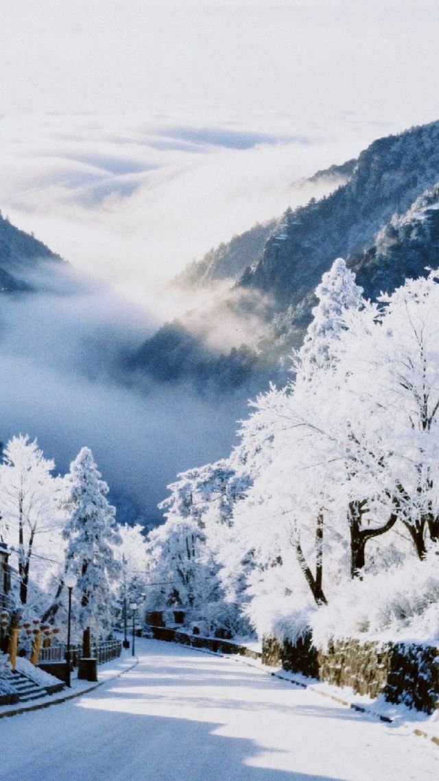 江西降溫了，又想念廬山的雪了|||作為南方人，從小對雪就