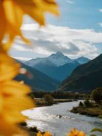 12月廣西親子遊｜懸崖書店奇幻之旅