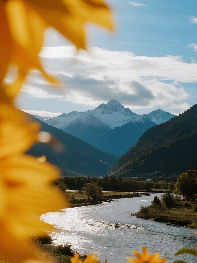 12月廣西親子遊｜懸崖書店奇幻之旅