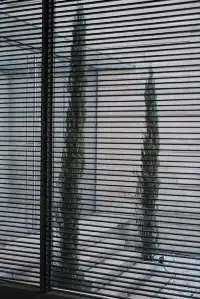 嘉興烏鎮|總要下一趟江南吧