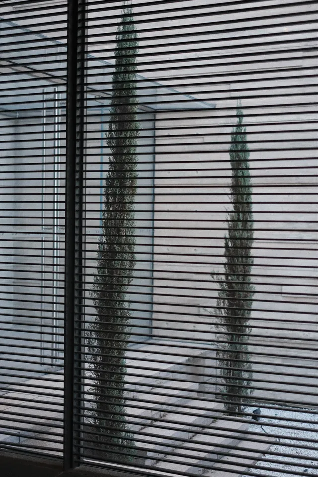 嘉興烏鎮|總要下一趟江南吧 嘉興烏鎮|總要下一趟江南吧