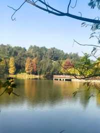 【韶關紅葉季】韶州公園漫步指南童話世界的調色盤在這裡!