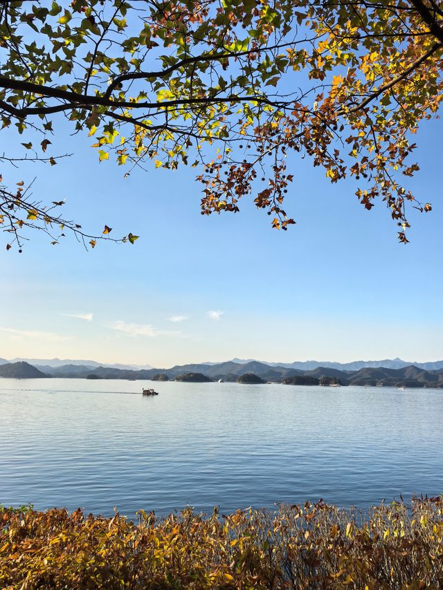 千島湖不登島不進景區直接酒店躺平…