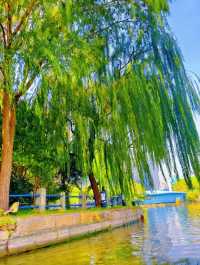 上海絕美紅葉秘境長風公園的秋天也太犯規了吧！