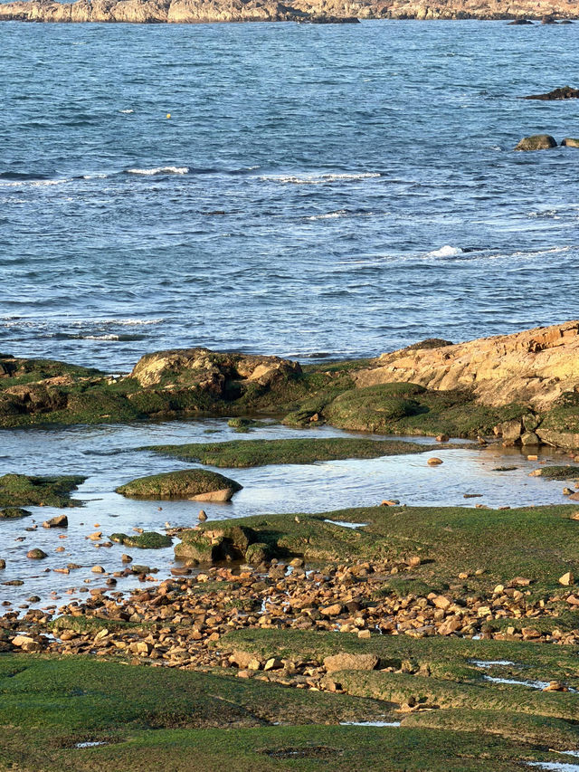 青島冬日Seawalk新路線太平角公園拍照攻略Get! 青島冬日Seawalk新路線太平角公園拍照攻略Get!