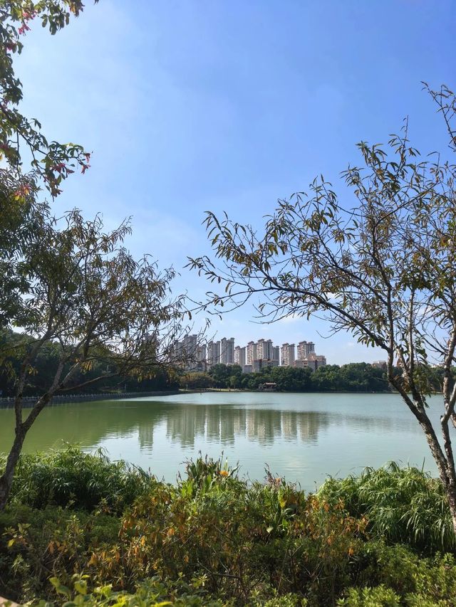 秘境小徑探湖之旅