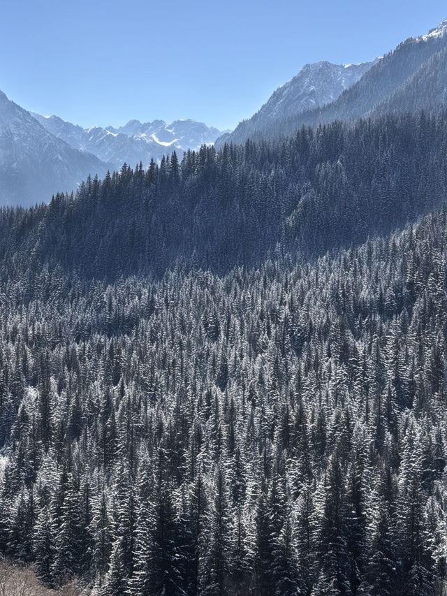 冬天來張掖包車遊美到失語
