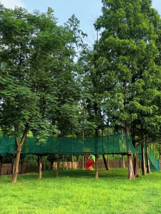 Nature|關於莫干山的超治癒吸氧之旅 Nature|關於莫干山的超治癒吸氧之旅