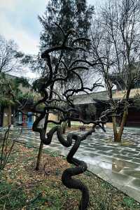 西安隱世中式庭院