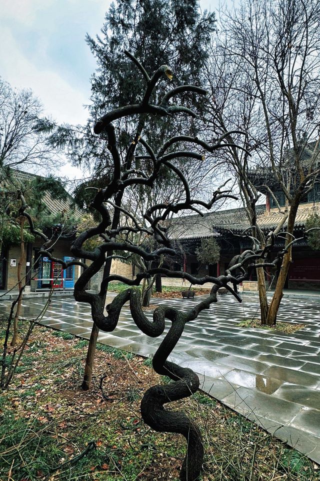 西安隱世中式庭院 西安隱世中式庭院