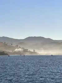 被瀘沽湖美鼠！12.4實拍！