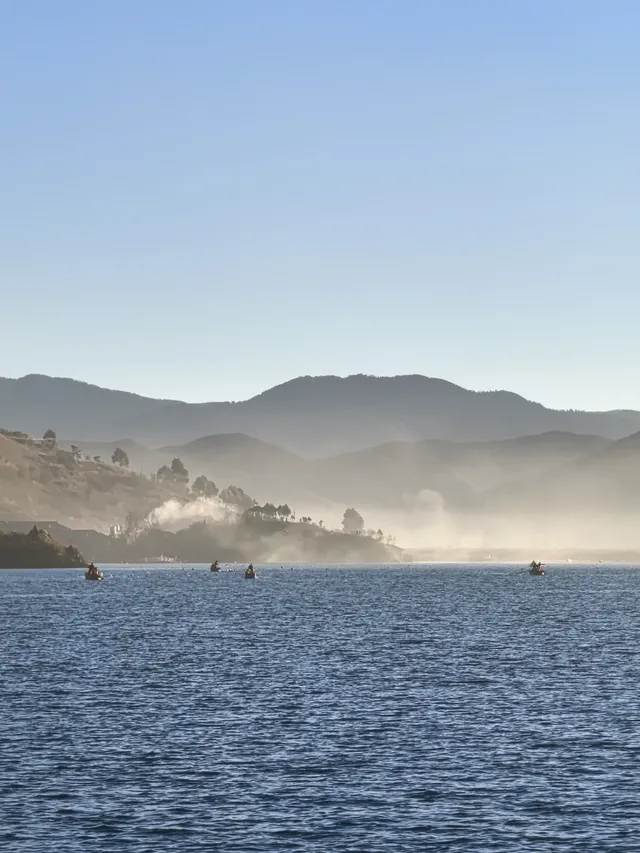被瀘沽湖美鼠！12.4實拍！
