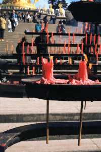 峨眉山“猴哥”相處指南