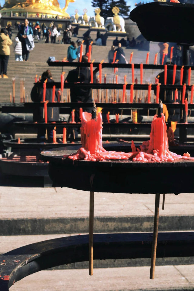 峨眉山“猴哥”相處指南