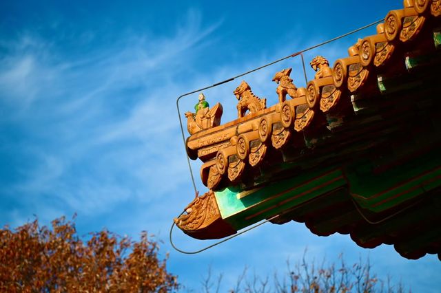 南京燕雀湖絕美水杉攻略秋日限定版油畫秘境 南京燕雀湖絕美水杉攻略秋日限定版油畫秘境