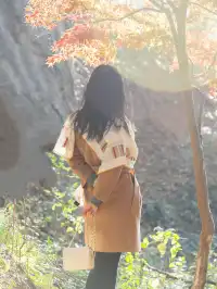 南京2天1晚 丨超詳細賞秋寶藏路線