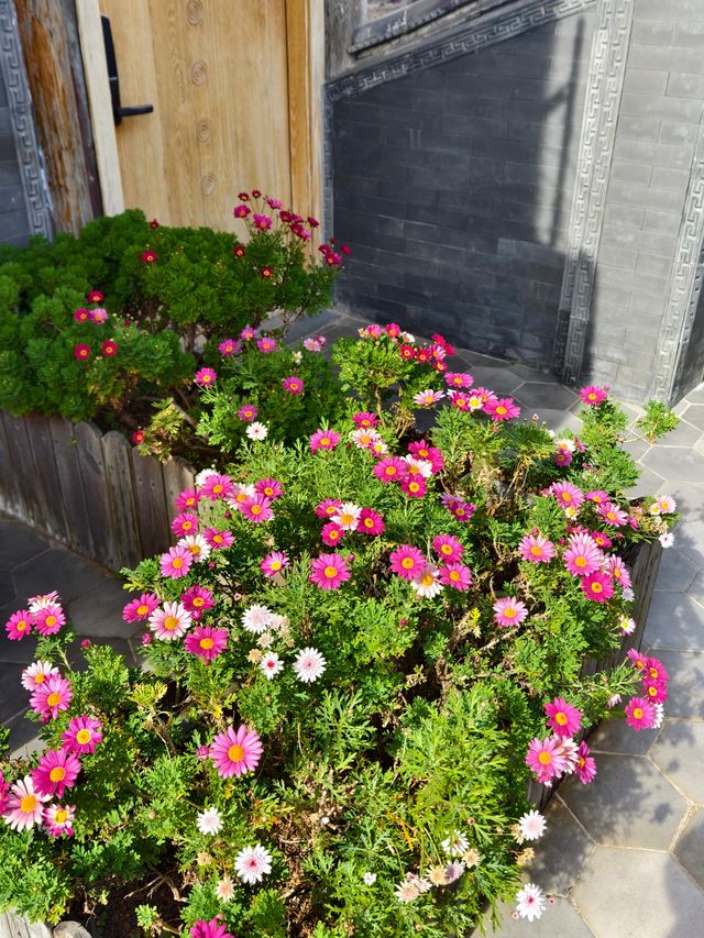 登上天空之鏡,左手古城煙火,右手雪山晴空 登上天空之鏡,左手古城煙火,右手雪山晴空