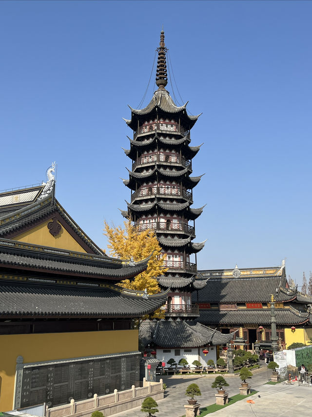 25.12.08打卡上海西林禪寺古塔的治癒系時光 25.12.08打卡上海西林禪寺古塔的治癒系時光