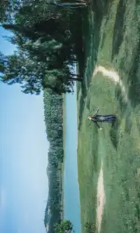 不是阿勒泰去不起,是泉州晉江更有性價比!