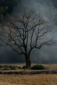 暴走村杭州站初體驗!一日遊塔川!