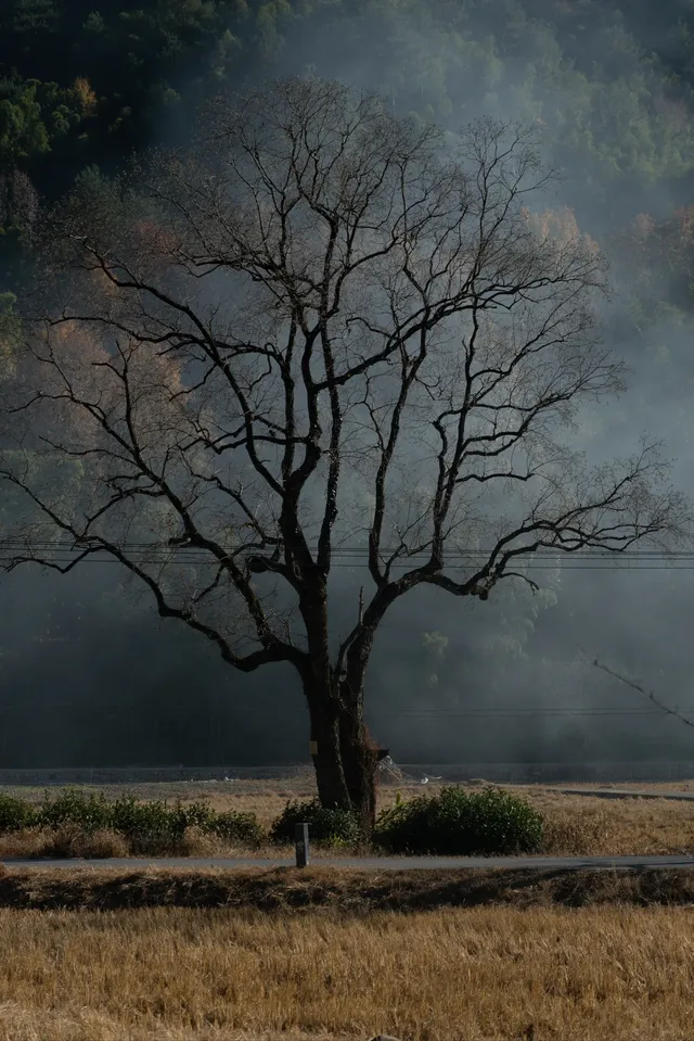 暴走村杭州站初體驗!一日遊塔川! 暴走村杭州站初體驗!一日遊塔川!