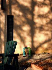 週末/假日逃離計劃|且息山裡的24h山野治癒時光