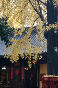 12.6 湖州秋景city walk路線