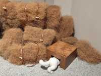 小眾展覽探店指南