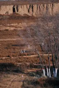 【冬季寧夏】銀川中衛
