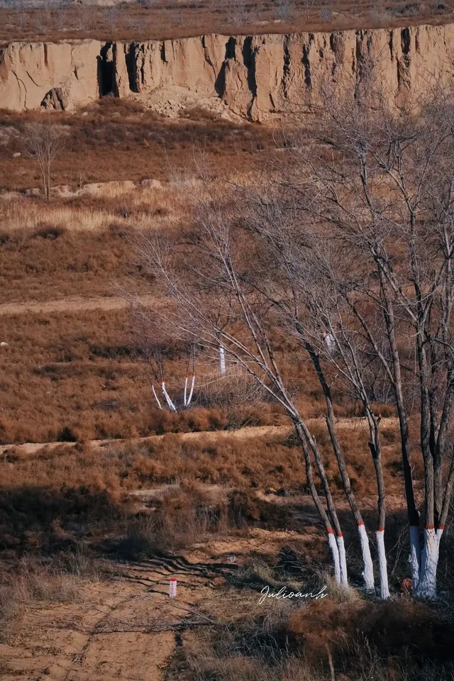 【冬季寧夏】銀川中衛 【冬季寧夏】銀川中衛