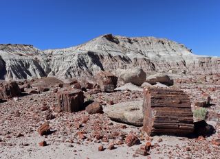 United States Petrified Forest National Park Basic Introduction