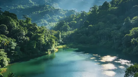 Exploring Jianfengling with Kids｜A Healing Rainforest Family Trip — traveler post in Ledong
