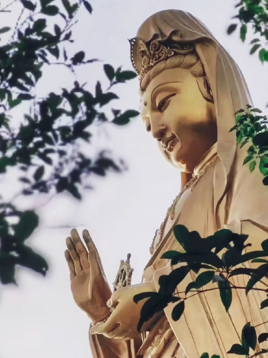 Putuo Mountain｜A Healing Journey Interwoven with Sea Breeze and Buddha’s Light, Come to the "Buddha Kingdom of Sea and Sky" for Peaceful Cultivation