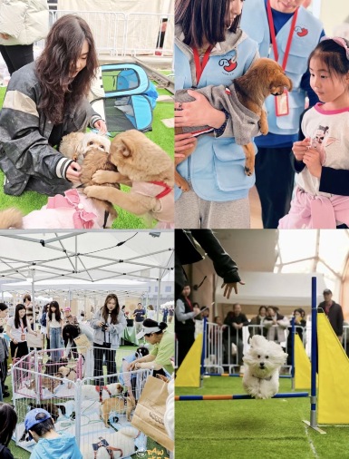 北京のゴールデンウィーク犬散歩の最高峰｜郎園Park毛の子カーニバル