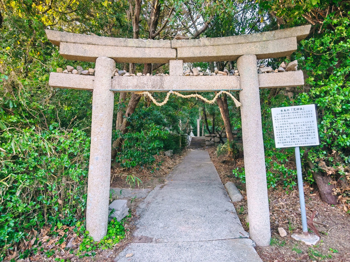 Shanghai - Shikoku, Japan 13-Day Trip, Day 11-7 - Shodoshima Olive