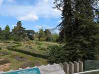 Peaceful Garden with Diverse Plants