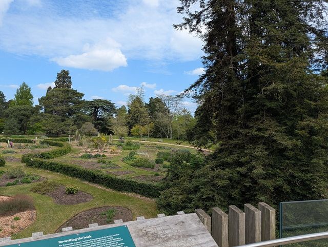 Peaceful Garden with Diverse Plants
