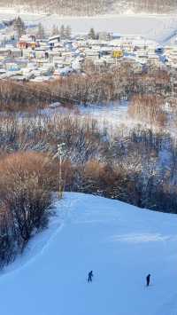 冬日必打卡小樽天狗山的童話雪景也太絕了