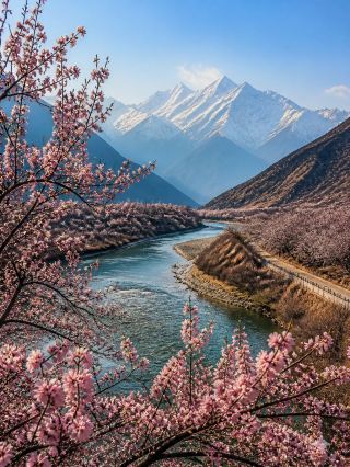 Nyingchi to Gongbo'gyamda: A relaxed March self-drive tour of peach blossoms and snow-capped mountains