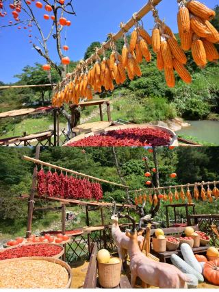 Revisiting Chuxi Tulou | Finally catching the gentlest early autumn in Western Fujian   It's not my first time at Chuxi Tulou, but it is my first time visiting in early autumn. Every
