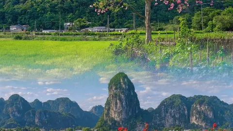 Menjelajahi Yingxi Peak Forest: Surga Tersembunyi di Guangdong Utara yang Tenang dan Menyegarkan — traveler post in Yingde