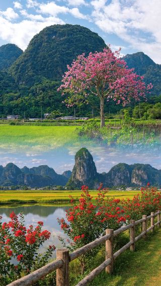 Menjelajahi Yingxi Peak Forest: Surga Tersembunyi di Guangdong Utara yang Tenang dan Menyegarkan