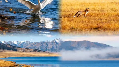 Sayram Lake | A Xinjiang lake perfect for a road trip around the shore — traveler post in Bortala