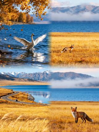 Sayram Lake | A Xinjiang lake perfect for a road trip around the shore