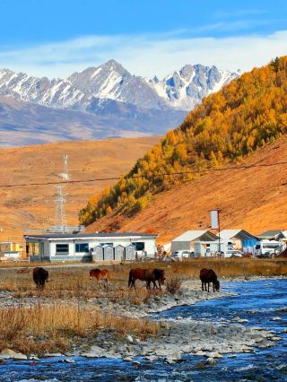 川西の紅葉黄金期、甲根壩＋姑弄村2日間純粋な観光旅行、息をのむほどの美しさ