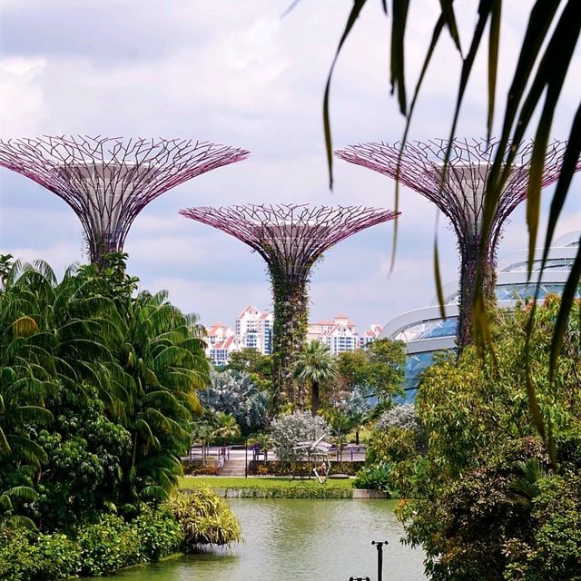 Gardens By The Bay