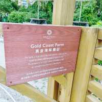 隱藏版玩法！在酒店外黃金海岸自然徑，農莊體驗！